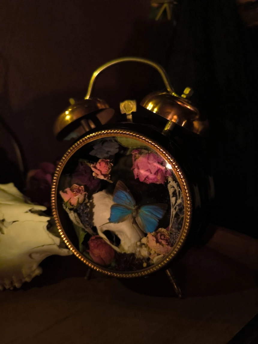 Les vestiges d'un songe