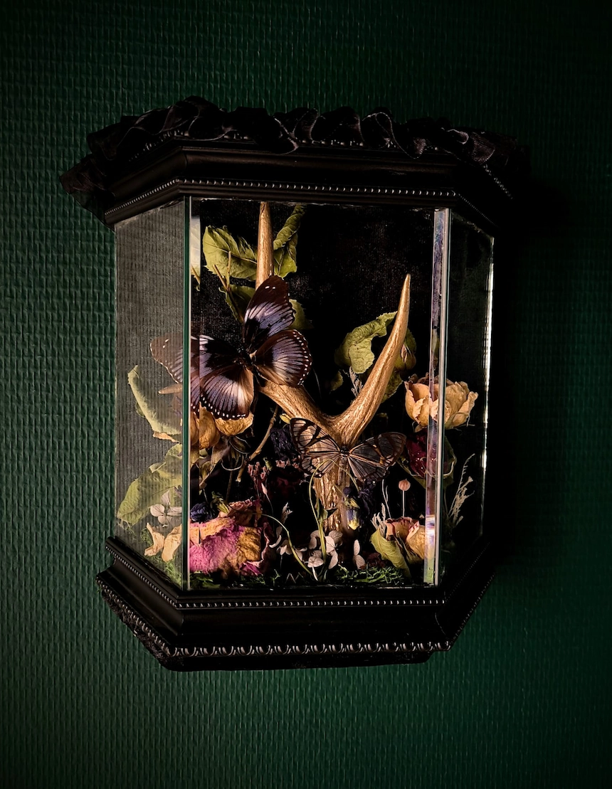 L'herbier des ombres 